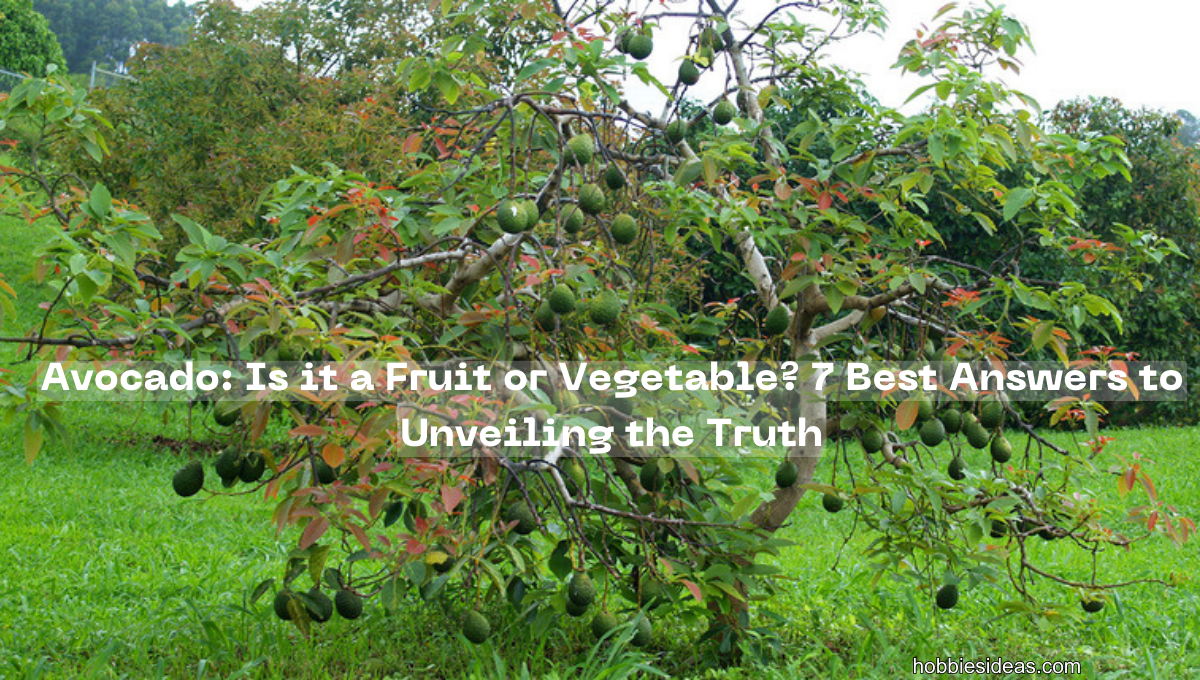 Avocado: Is it a Fruit or Vegetable? 7 Best Answers to Unveiling the Truth!