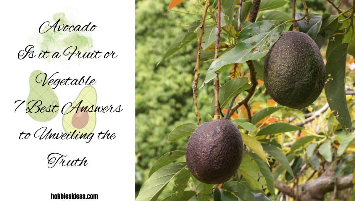 Avocado: Is it a Fruit or Vegetable? 7 Best Answers to Unveiling the Truth!