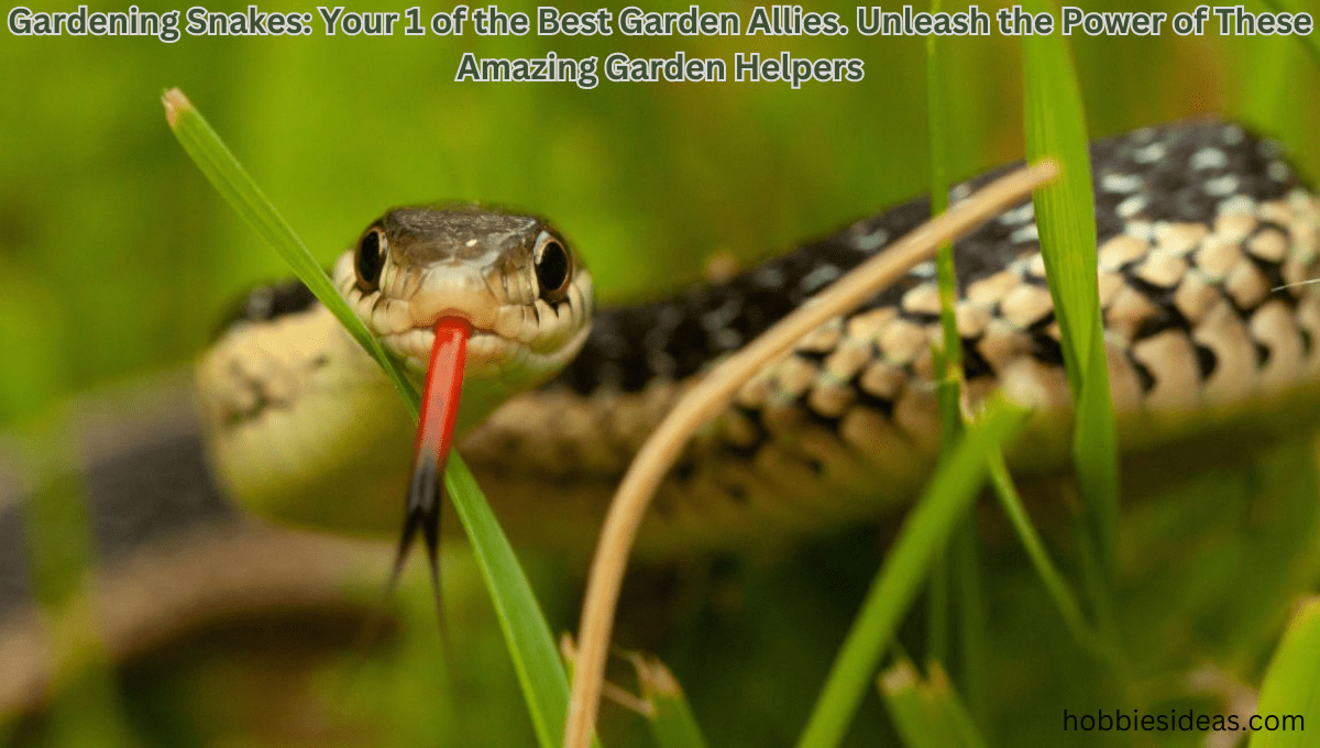 Gardening Snakes: Your 1 of the Best Garden Allies. Unleash the Power of These Amazing Garden Helpers