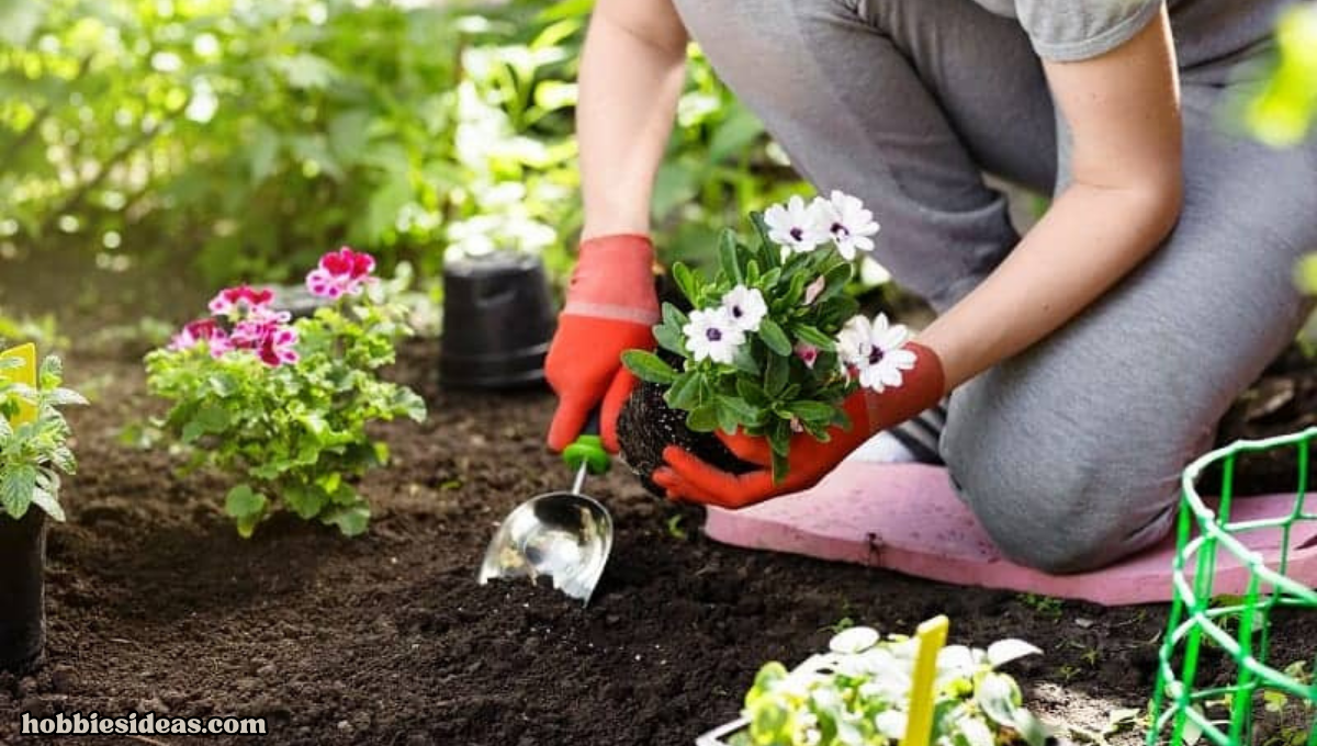 Blogs on Gardening' Expert Tips: Top 9  Gardening Blogs help you to Grow the Best Plants Ever!