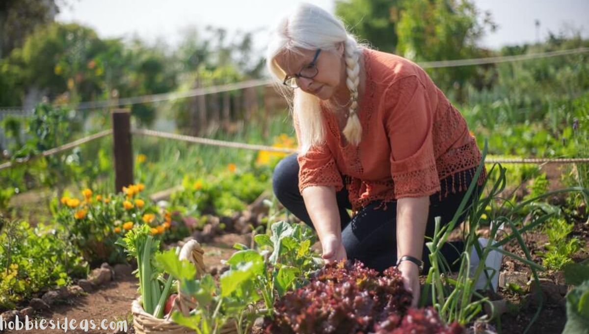 How to Design an Easy Peasy Potager Garden: 7 Super Fun Ideas step by step to Create Your Own Beautiful Veggie Paradise!