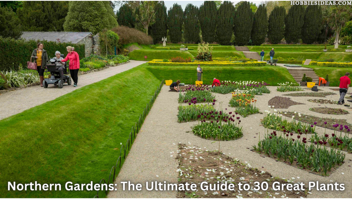 Northern Gardens: The Ultimate Guide to 30 Great Plants