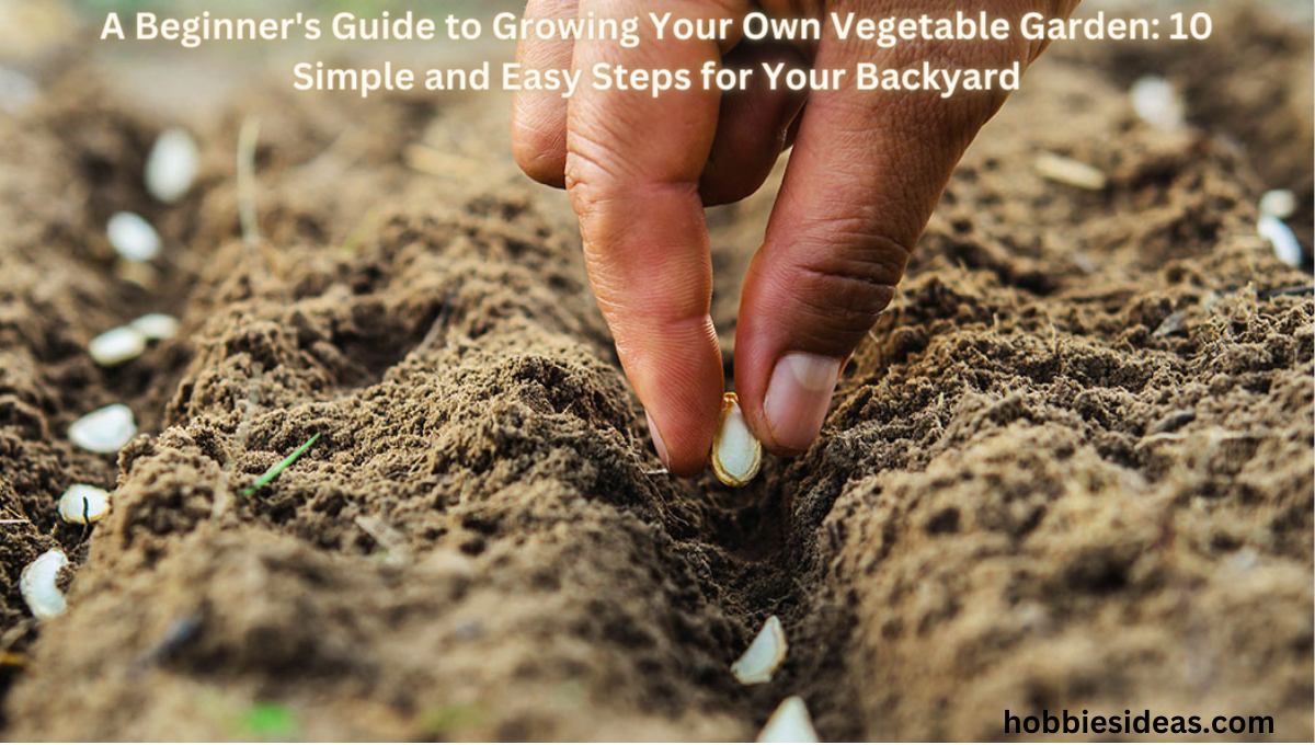 A Beginner's Guide to Growing Your Own Vegetable Garden: 10 Simple and Easy Steps for Your Backyard