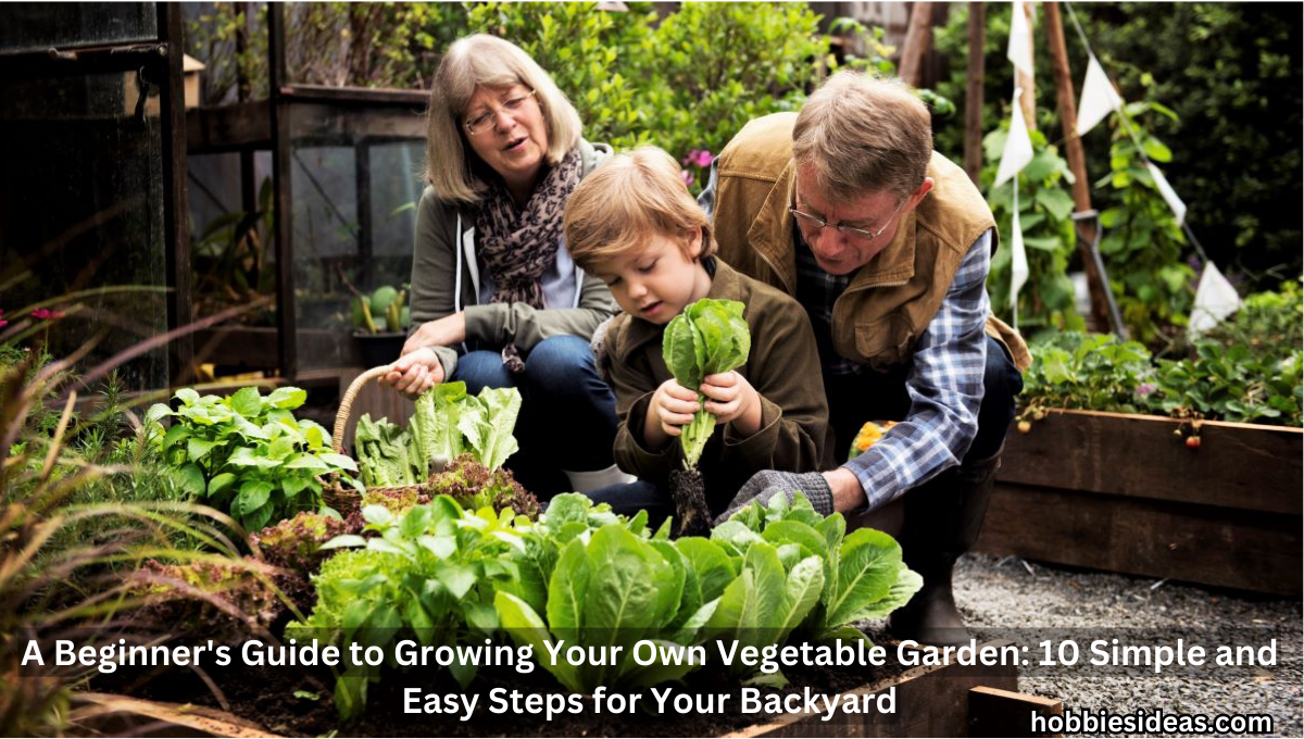 A Beginner's Guide to Growing Your Own Vegetable Garden: 10 Simple and Easy Steps for Your Backyard