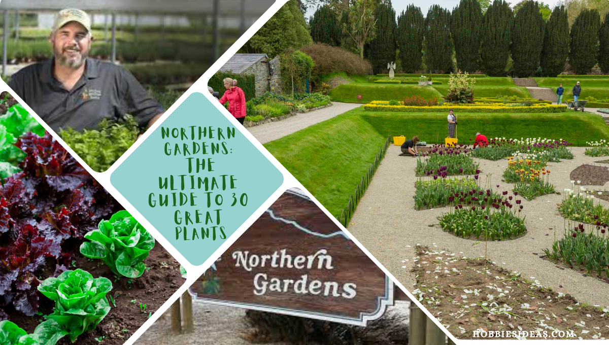 Northern Gardens: The Ultimate Guide to 30 Great Plants