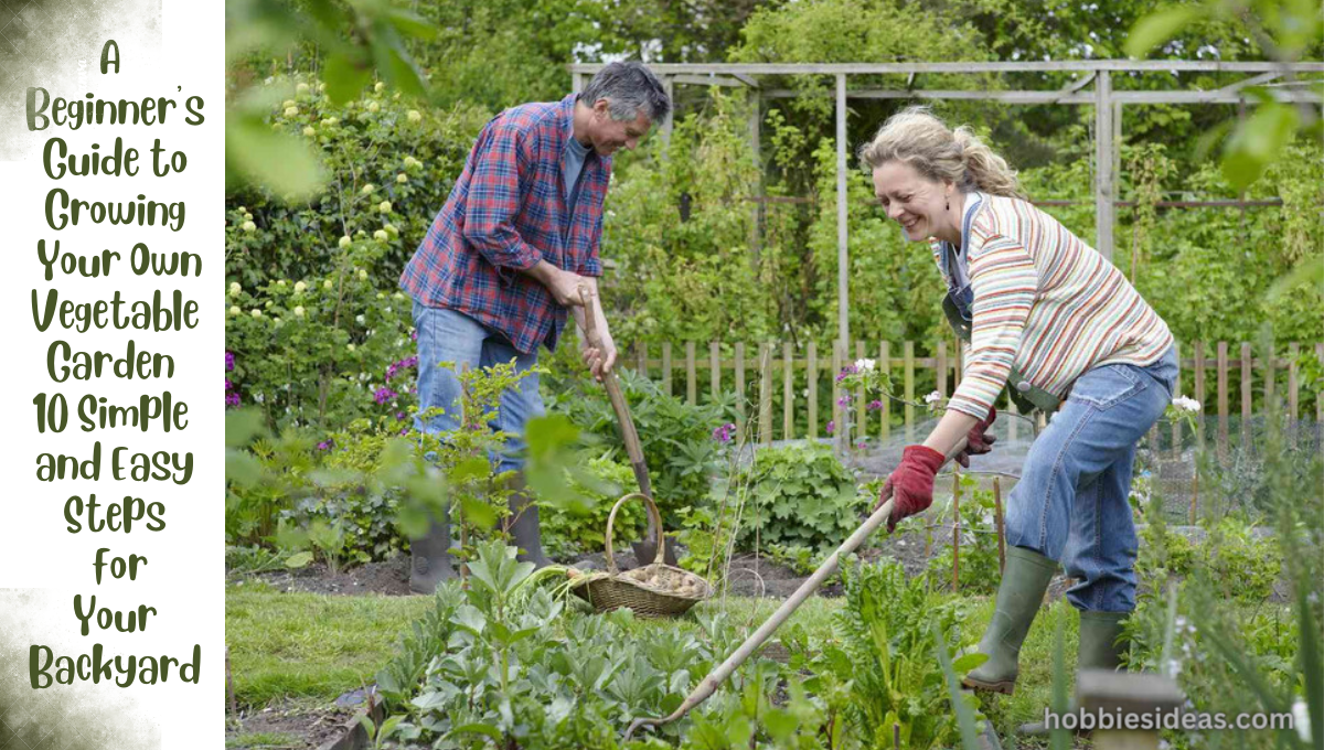  How to Start a Vegetable Garden in Your Backyard in-ground or in Pots: 10 Easy Steps in beginners