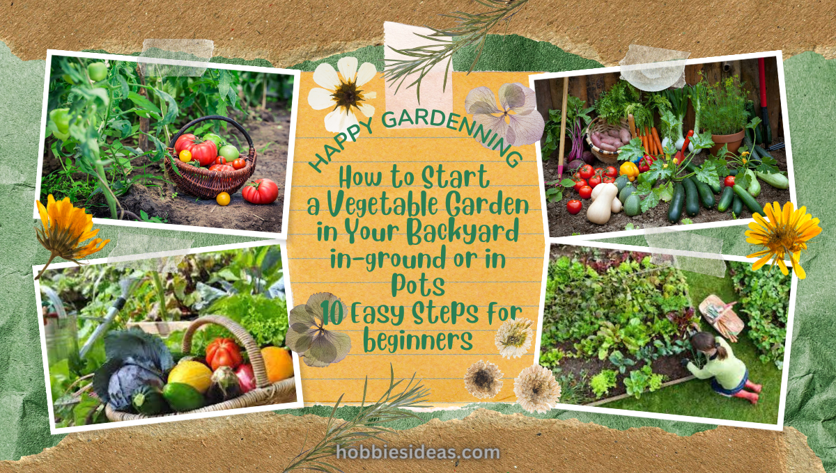 How to Start a Vegetable Garden in Your Backyard in-ground or in Pots: 10 Easy Steps for beginners