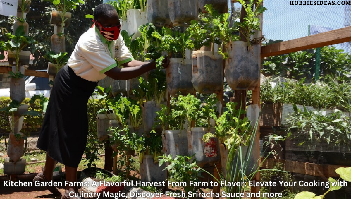 Kitchen Garden Farms: A Flavorful Harvest From Farm to Flavor: Elevate Your Cooking with Culinary Magic, Discover Fresh Sriracha Sauce and more.