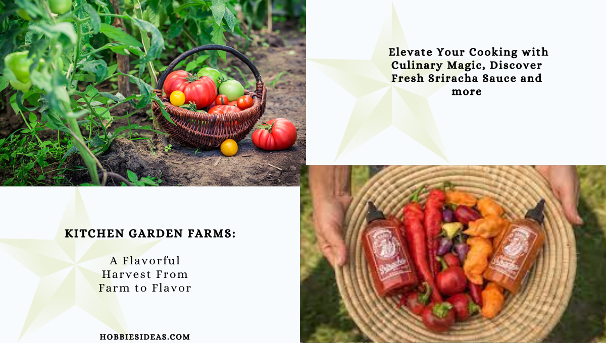 Kitchen Garden Farms: A Flavorful Harvest From Farm to Flavor: Elevate Your Cooking with Culinary Magic, Discover Fresh Sriracha Sauce and more.