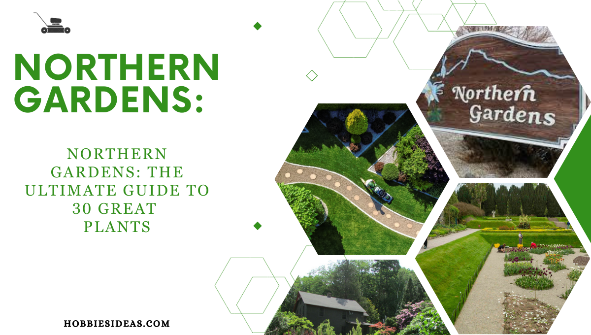 Northern Gardens: The Ultimate Guide to 30 Great Plants