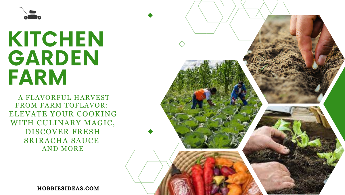 Kitchen Garden Farms: A Flavorful Harvest From Farm to Flavor: Elevate Your Cooking with Culinary Magic, Discover Fresh Sriracha Sauce and more.