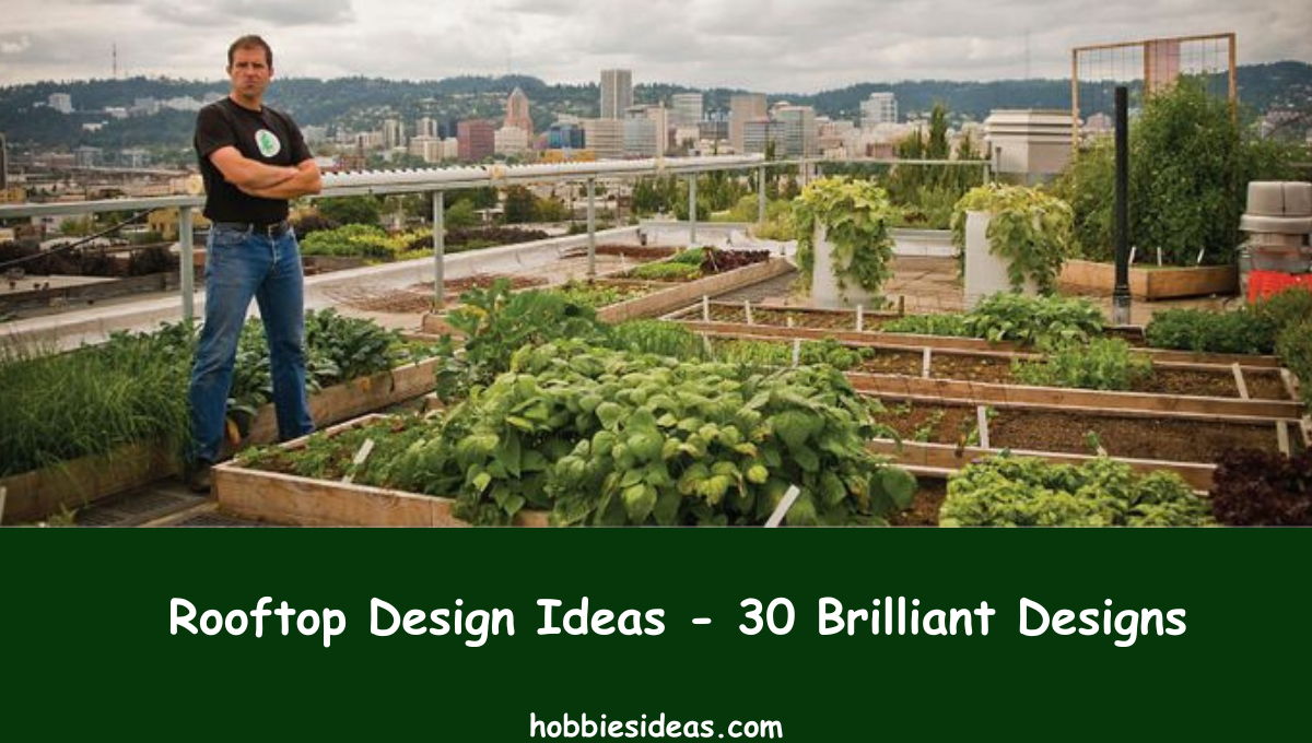 Rooftop Design Ideas - 30 Brilliant Designs