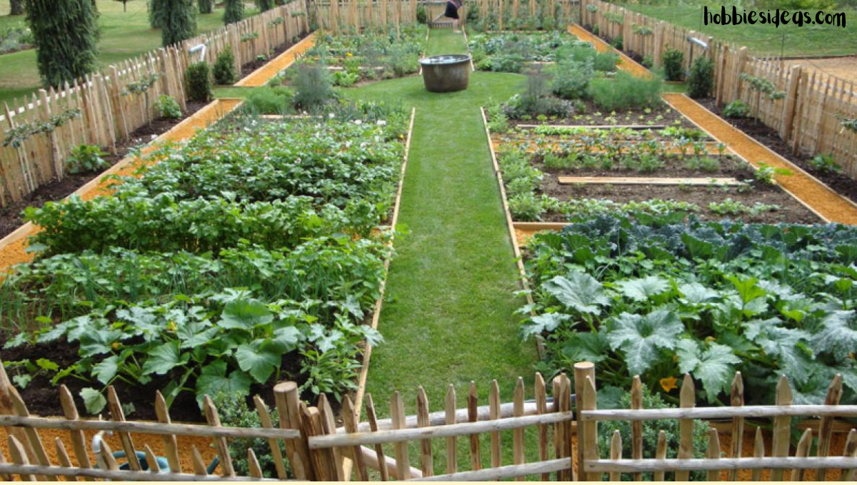 What is a French Potager? Designing a Successful French Vegetable Garden 7 Guides