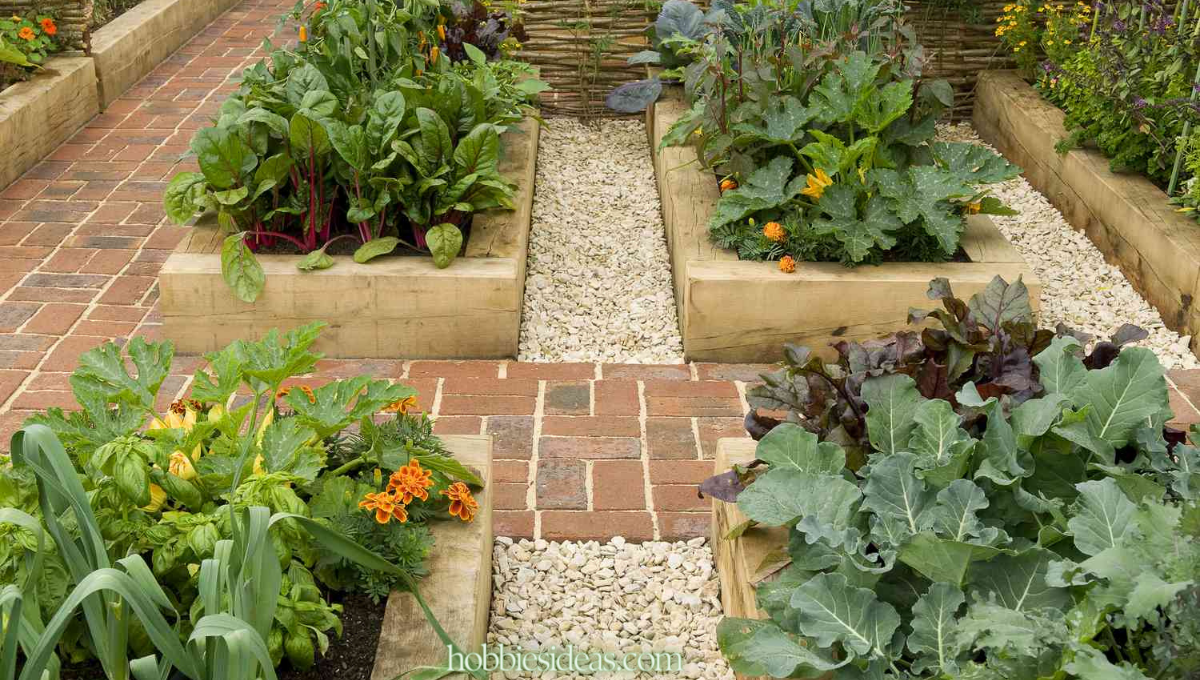 What is a French Potager? Designing a Successful French Vegetable Garden 7 Guides