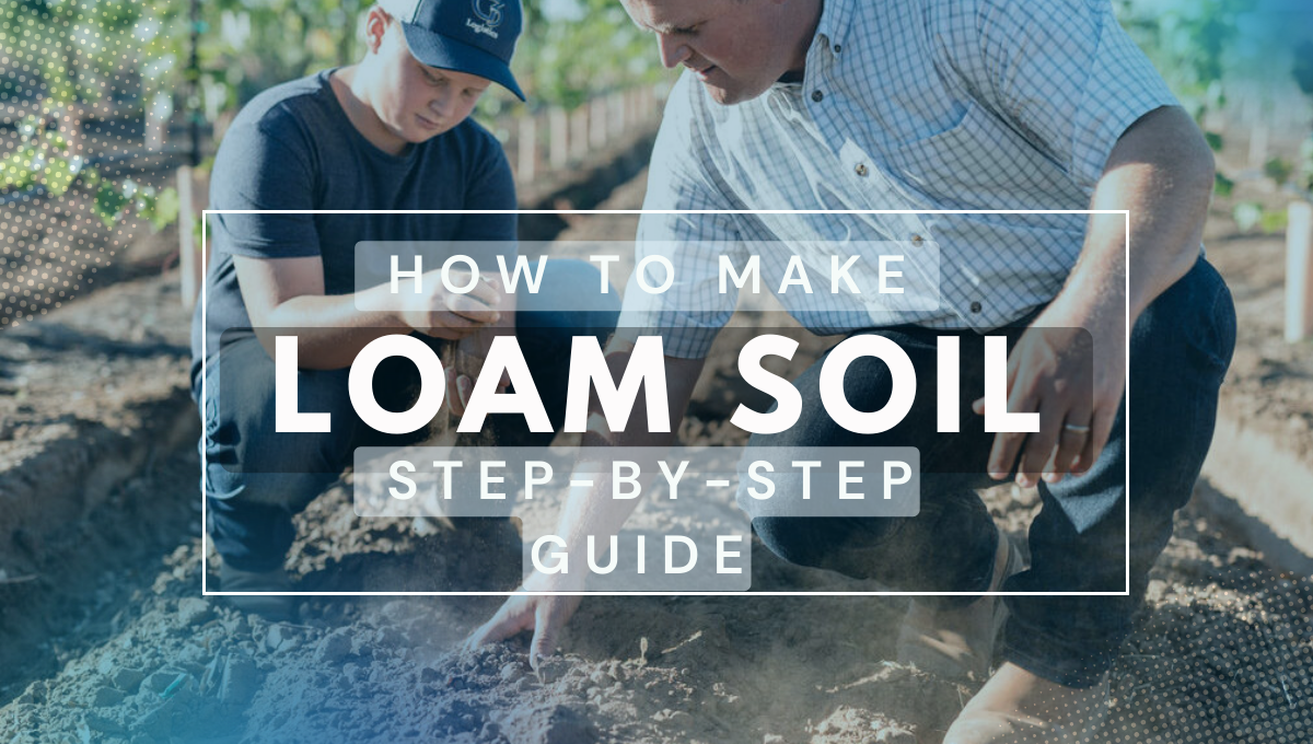 How to Make best Loam Soil - Step-by-Step Expert Guide